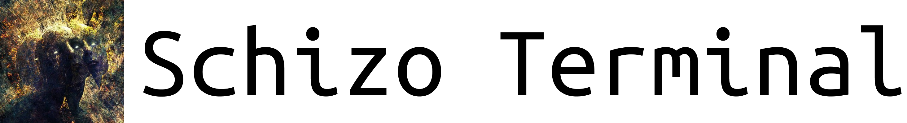 Schizo Terminal logo